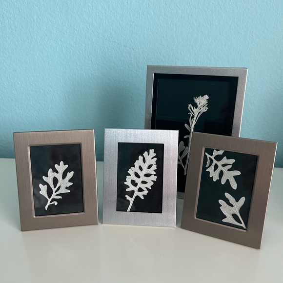 Handmade Home Décor- Pressed Dusty Miller in Silver Frames (Set of 4) - Picture 2 of 11